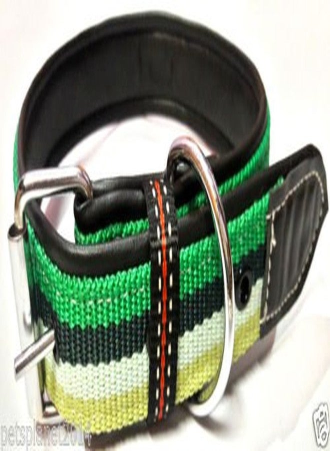 Ocean Wave Petsplanet Dog Collar with Stylish Design - Tri Color Strip - Image 1